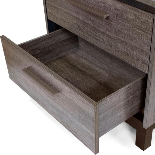 Bowery Hill 2-Drawer Contemporary Wood Nightstand in Antique Gray