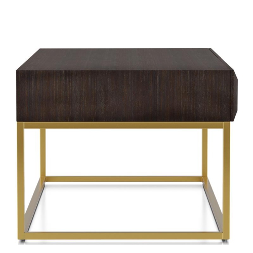 Bowery Hill Transitional Metal 2-Drawer Coffee Table in Walnut