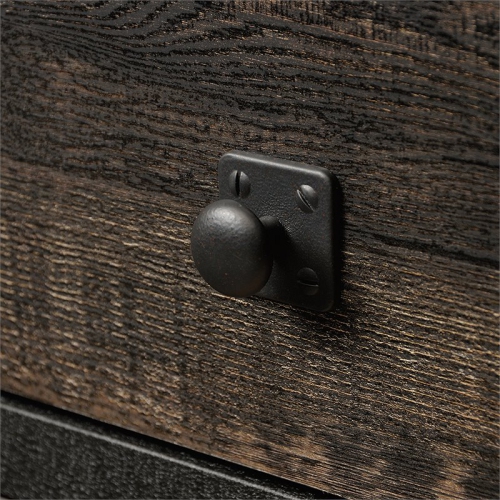 Sauder Steel River 2-Drawer Mobile File Cabinet in Carbon Oak/Black