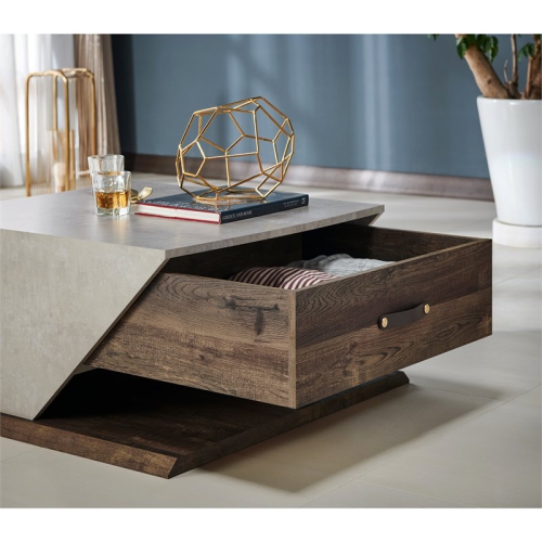 Furniture of America Menster Modern Wood Storage Coffee Table in Reclaimed Oak