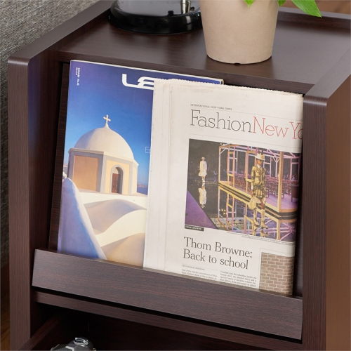 Furniture of America Debrah Contemporary Wood Open Shelf End Table in Walnut