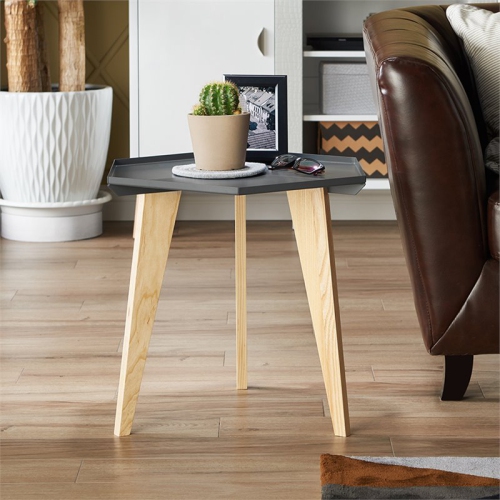 Furniture of America Bok Modern Chic Metal Tray-Top End Table in Gray