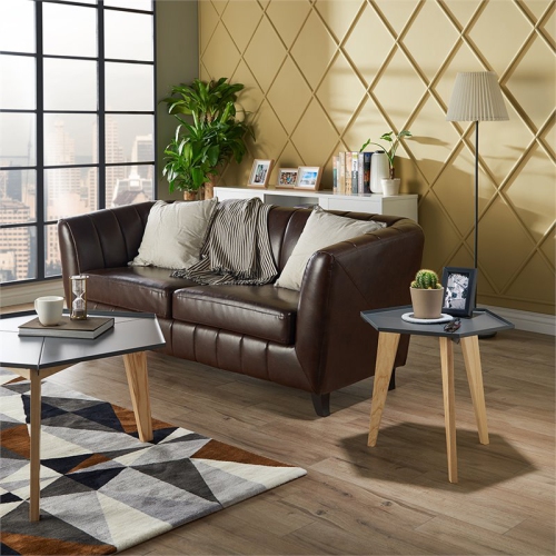 Furniture of America Bok Modern Chic Metal Tray-Top End Table in Gray