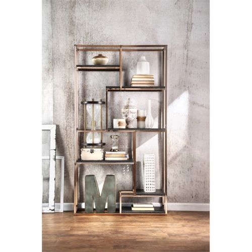 Furniture of America Jan Contemporary Metal 6-Shelf Bookcase in Gold Champagne