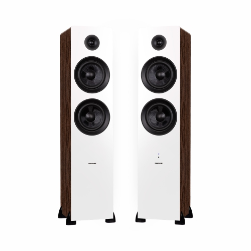Haut-parleurs colonne amplifiés 2 voies Ai81 de Fluance avec amplificateur intégré de 150 W pour téléviseur, tourne-disque, PC et Bluetooth