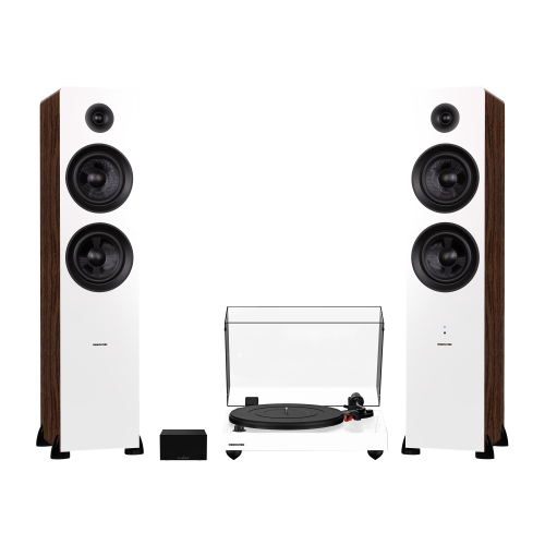 FLUANCE  Rt83 Reference High Fidelity Vinyl Turntable, Pa10 Phono Preamp And Ai81 Elite Powered Floorstanding Speakers