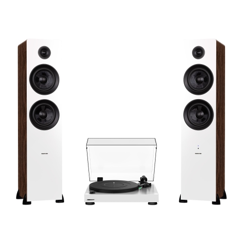 FLUANCE  Rt81 Elite High Fidelity Vinyl Turntable And Ai81Powered 2-Way Floorstanding Tower Speakers