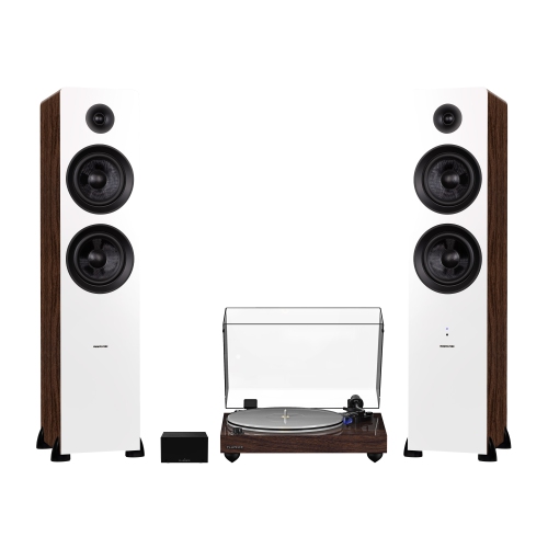 Fluance RT85 Reference High Fidelity Vinyl Turntable, PA10 Phono Preamp and Ai81 Elite Powered Floorstanding Speakers