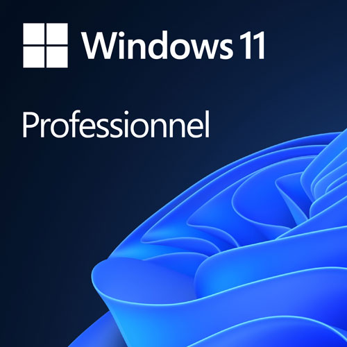 DVD Microsoft Windows 11 Professionnel - Version d'origine - Français