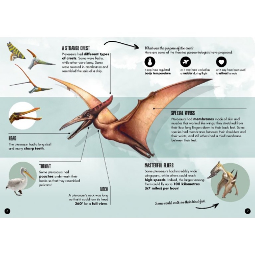 The Age of Dinosaurs - 3D Model Pteranodon