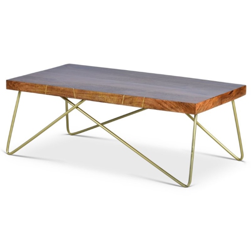 STEVE SILVER COMPANY  Walter Coffee Table In Warm Pine And Brass In Brown