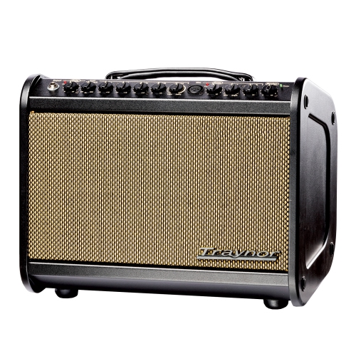 Traynor 65 Watt Acoustic Amp w/Effects