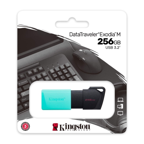 Kingston DataTraveler Exodia M Clé USB 256 GO USB 3.2 Gén 1