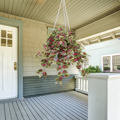 ALLSTATE  Mini Coleus Artificial Bush Spray - 20" - Green And In Red