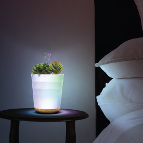 Lomi Succulent Aroma Diffuser