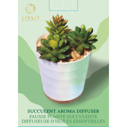Lomi Succulent Aroma Diffuser
