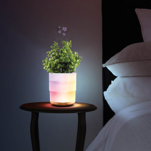 Lomi Plant Aroma Diffuser