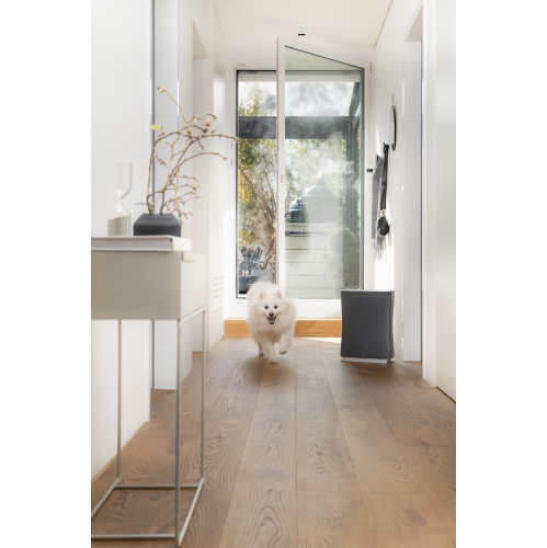 Stadler Form Roger Little HEPA Air Purifier Black