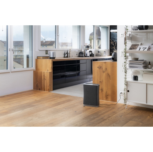 Stadler Form Roger Little HEPA Air Purifier Black