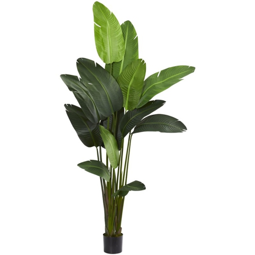 NEARLY NATURAL  Travelers Palm Artificial Tree With Upward Leaves In Green/black