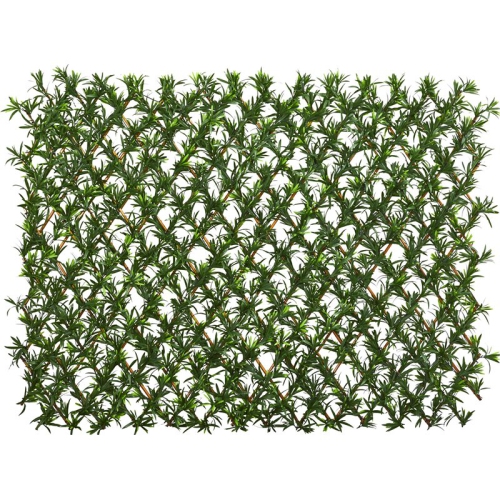 NEARLY NATURAL  Expandable Podocarpus Fence Uv Resistant & Waterproof In In Green