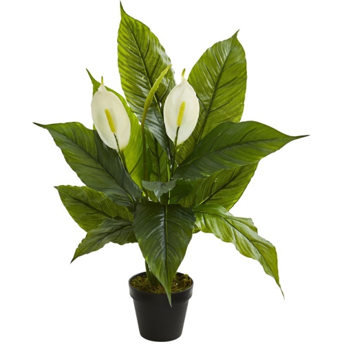 NEARLY NATURAL  26" Spathiphyllum Artificial Plant Real Touch In Green/black