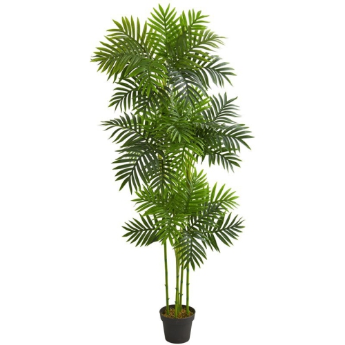 NEARLY NATURAL  72" Phoenix Palm Artificial Tree In Green/black