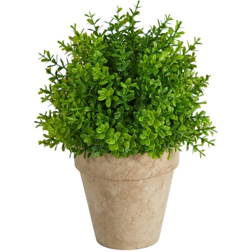 Nearly Natural 8" Boxwood Artificial Plant in Decorative Planter in Green/Beige
