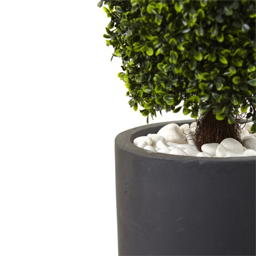 Indoor/Outdoor 50" Boxwood Topiary with Cylindrical Planter in Green/Gray