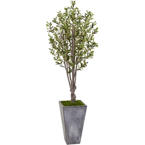 NEARLY NATURAL  72" Olive Artificial Tree In Stone Planter In Green/gray