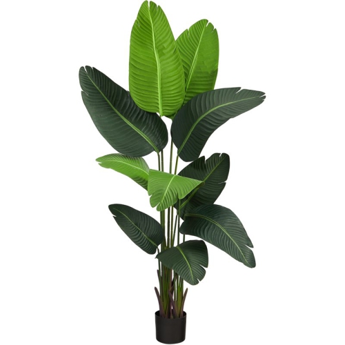 NEARLY NATURAL  60" Travelers Palm Artificial Tree In Green/black