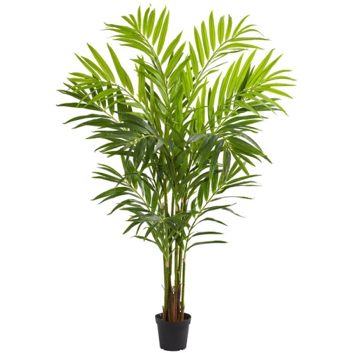 NEARLY NATURAL  King Palm Artificial Tree With Feather-Like Foliage - Green/black