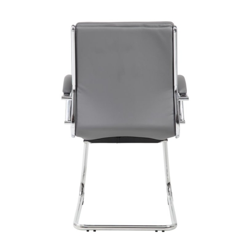 Scranton & Co Transitional Metal CaressoftPlus Guest Chair in Gray/Chrome
