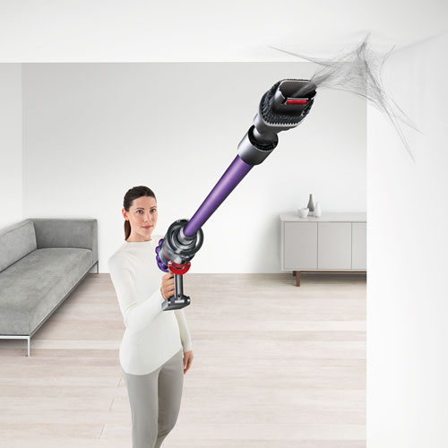Dyson V10 Animal+ Cordless Stick Vacuum - Sprayed Nickel/Iron