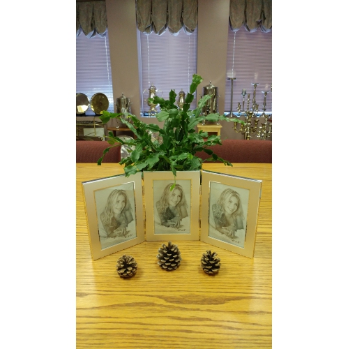 Jiallo Jolene 4x6" Modern Stainless Steel Triple Frame in Silver