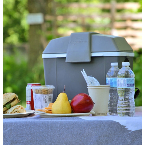 Koolatron Thermoelectric Iceless 12 Volt Cooler Warmer 9.8 qt, Electric Portable Car Cooler with DC Plug, Grey and White, for Travel Camping Fishing