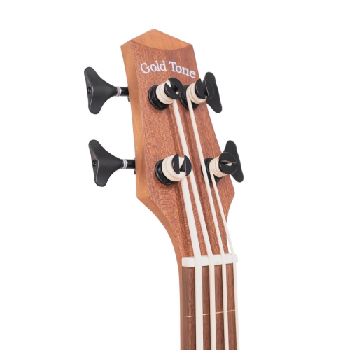 Gold Tone Micro Bass 23 Fretless with Gigbag