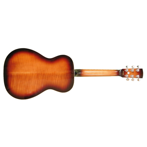 Gold Tone Paul Beard Signature Series Round Neck Resonator Guitar Deluxe