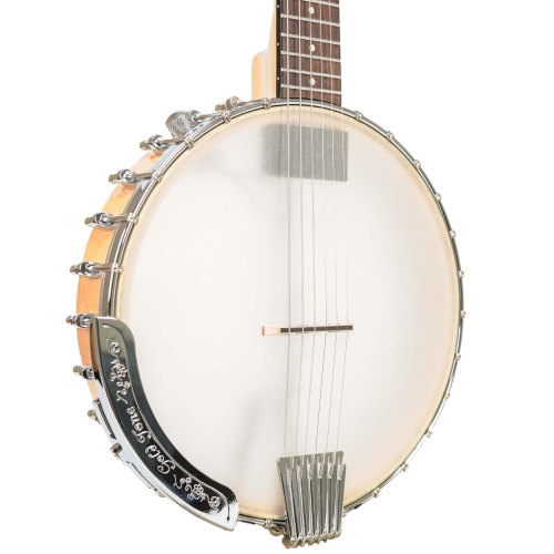 Gold Tone BT-1000 6-String Banjo/Guitar with Gig Bag