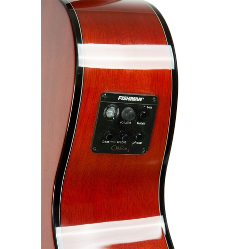 Gold Tone Bouzouki-mandoline BZ-1000 à corps de guitare avec étui