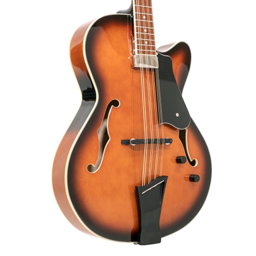 Gold Tone 8-String Mandocello with Pickup and Hardshell Case