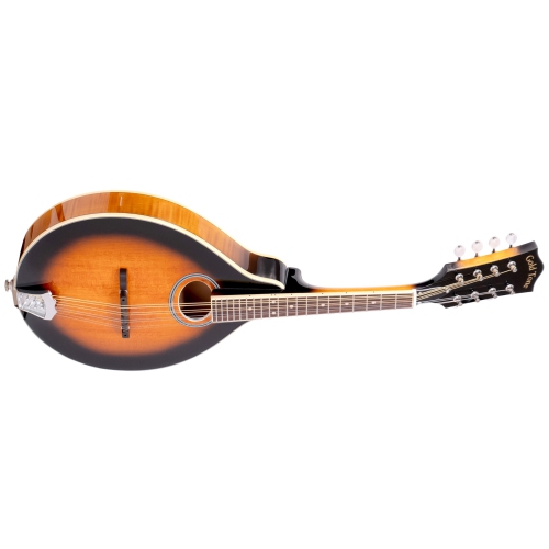 Image 1 de 4.. Gold Tone Mandoline intermédiaire GM-50+ de type A