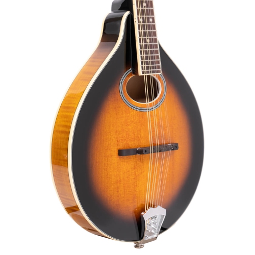 Gold Tone GM-50+ A-Style Mandolin with Pickup