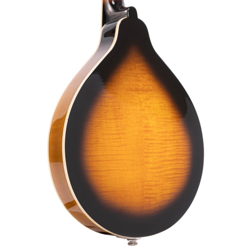 Gold Tone GM-50+ A-Style Mandolin with Pickup