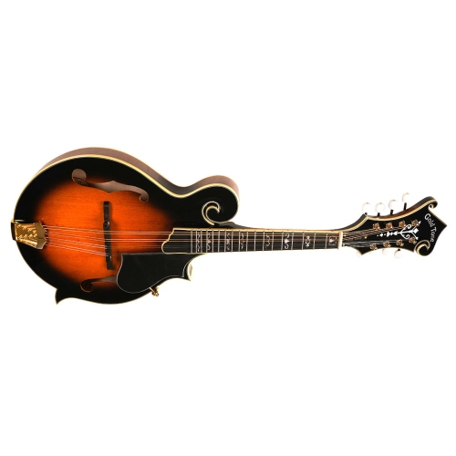 GOLD TONE  Tone Gm-70+ Solid Wood F-Style Mandolin
