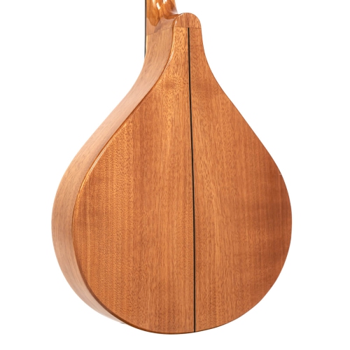 Gold Tone BZ-500 Bouzouki irlandais avec étui