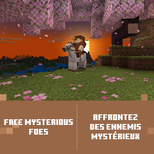 Minecraft (Xbox Series X|S / Xbox One) - Digital Download