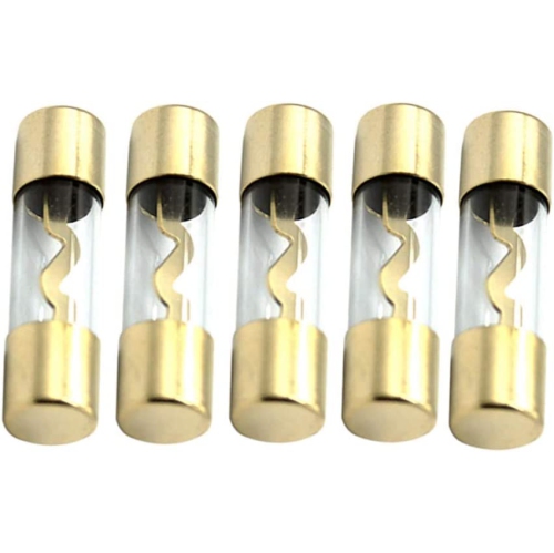 DOLAER  5 X 60A Agu Fuse Car Auto Audio Power Safety Protect Glass Tube Plated Radio In Gold