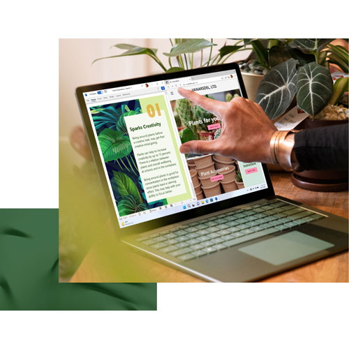 Microsoft Surface Laptop 5 Touchscreen 13.5" - Sage (Intel Evo i5-1235U/512GB SSD/8GB RAM/Windows 11) - En