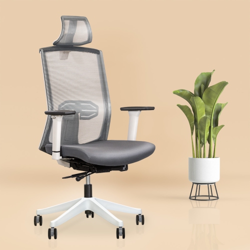 EFFYDESK KarmaChair Best Ergonomic Office Chair with Adjustable Lumbar-Support and Mesh Back